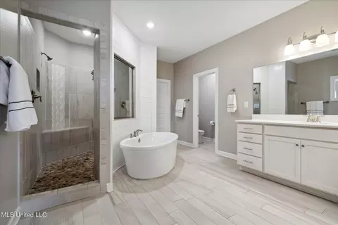 Bath - 1686 Shepherd Dr, Hernando, MS 38632 photo 2 of 4