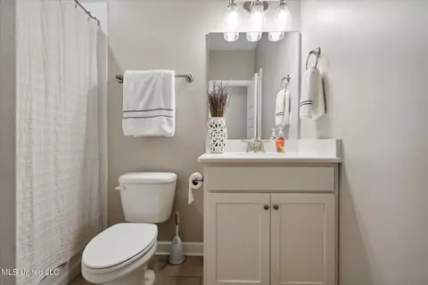 Bath - 1686 Shepherd Dr, Hernando, MS 38632 photo 1 of 4