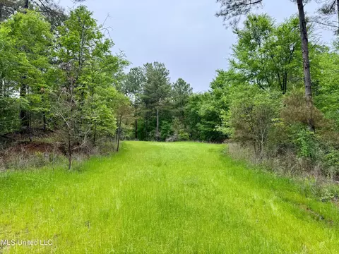 Cr 375, Carrollton, MS 38917 photo 14