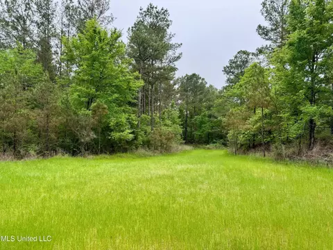 Cr 375, Carrollton, MS 38917 photo 13