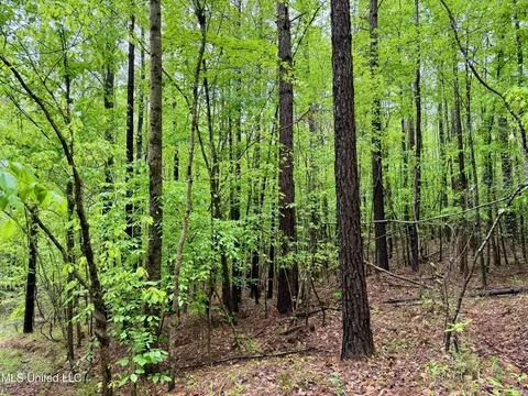 Cr 375, Carrollton, MS 38917 photo 19