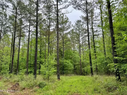 Cr 375, Carrollton, MS 38917 photo 17