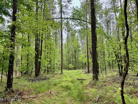Cr 375, Carrollton, MS 38917 photo 5