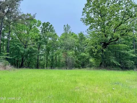 Cr 375, Carrollton, MS 38917 photo 2
