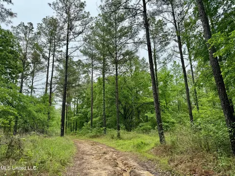 Cr 375, Carrollton, MS 38917 photo 10