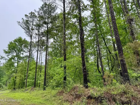 Cr 375, Carrollton, MS 38917 photo 8