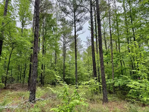 Cr 375, Carrollton, MS 38917 photo 18