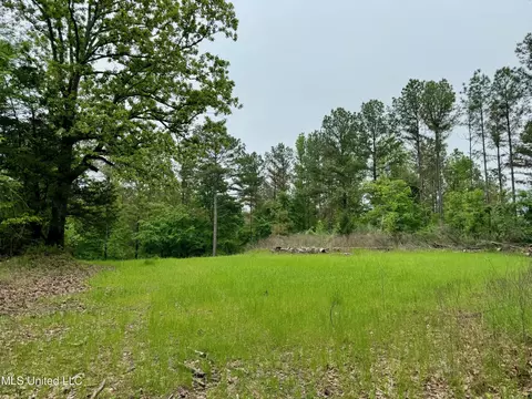 Cr 375, Carrollton, MS 38917 photo 3