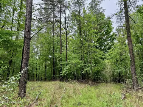 Cr 375, Carrollton, MS 38917 photo 11