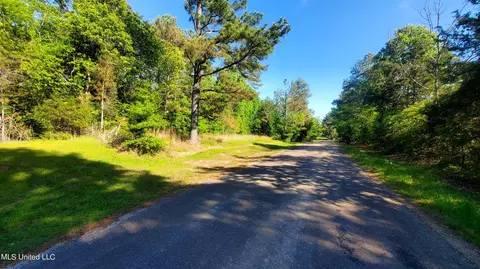 496 Barr Rd, Coldwater, MS 38618 photo 10