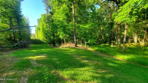 496 Barr Rd, Coldwater, MS 38618 photo 5