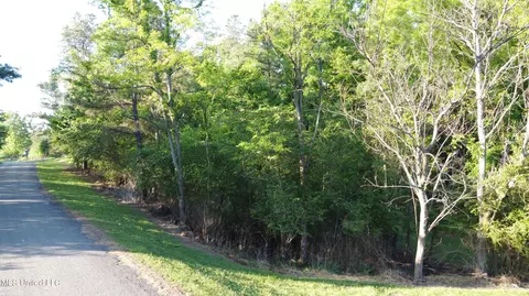 496 Barr Rd, Coldwater, MS 38618 photo 8