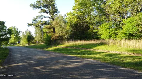 496 Barr Rd, Coldwater, MS 38618 photo 7