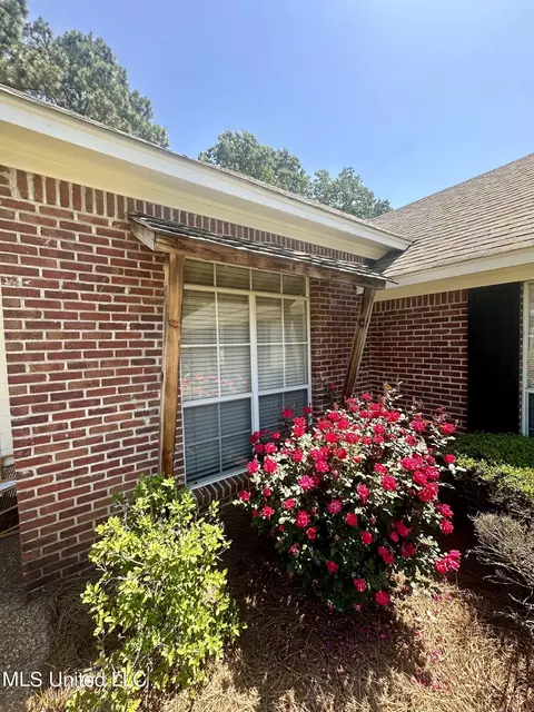 Exterior - 104 Old Gin Cv, Madison, MS 39110 photo 3 of 7