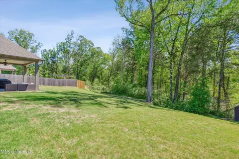 Exterior - 3792 Reghans Pl, Hernando, MS 38632 photo 8 of 8
