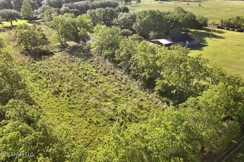 View/Area - 7900 Carlos Keyes Rd, Moss Point, MS 39562 photo 8 of 12
