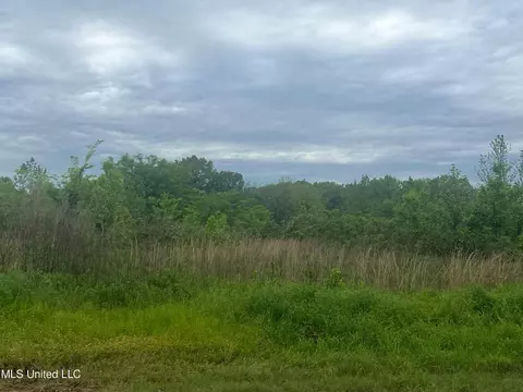 0 S Baldwin Rd, Lake Cormorant, MS 38641