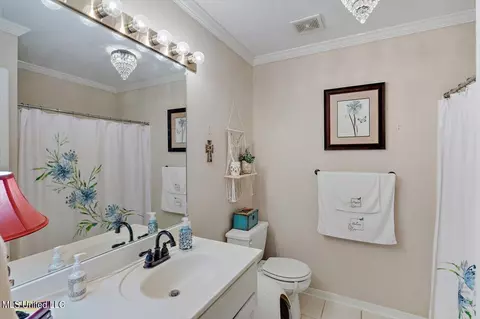Bath - 1212 Crossview Ct, Brandon, MS 39042 photo 4 of 4