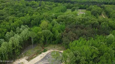 Kimber Cove, Hernando, MS 38632 photo 5
