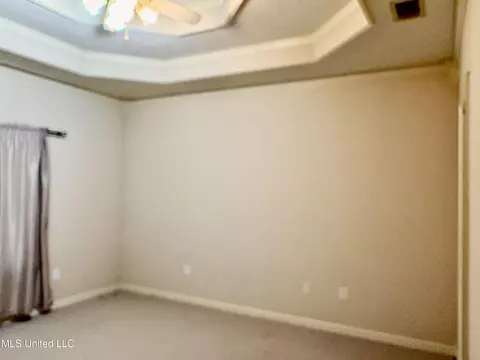 169 Brookleigh Pl, Byram, MS 39272 photo 6