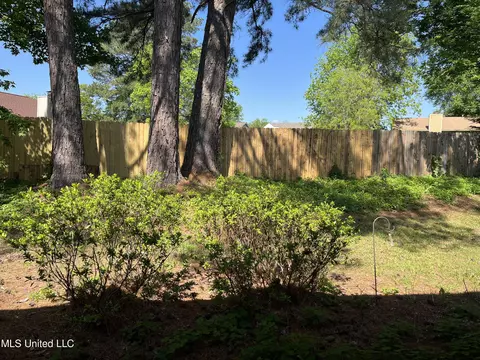 169 Brookleigh Pl, Byram, MS 39272 photo 21