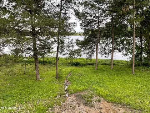 4777 N Big Horn Dr, Nesbit, MS 38651 photo 13
