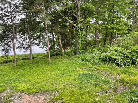 4777 N Big Horn Dr, Nesbit, MS 38651 photo 14