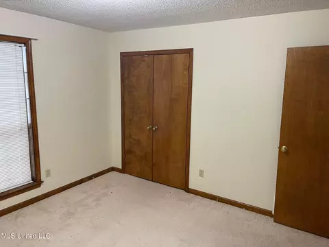 4777 N Big Horn Dr, Nesbit, MS 38651 photo 11