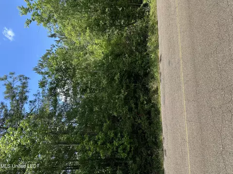 Sones Chapel Road, Carriere, MS 39426