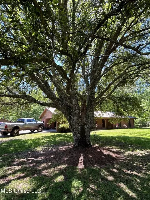 2242 Old Pickens Rd, Kosciusko, MS 39090 photo 6