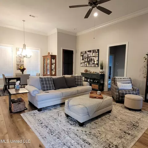 Living - 157 Glenwild Trl, Canton, MS 39046 photo 4 of 8