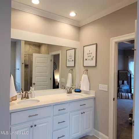 Bath - 157 Glenwild Trl, Canton, MS 39046 photo 5 of 6