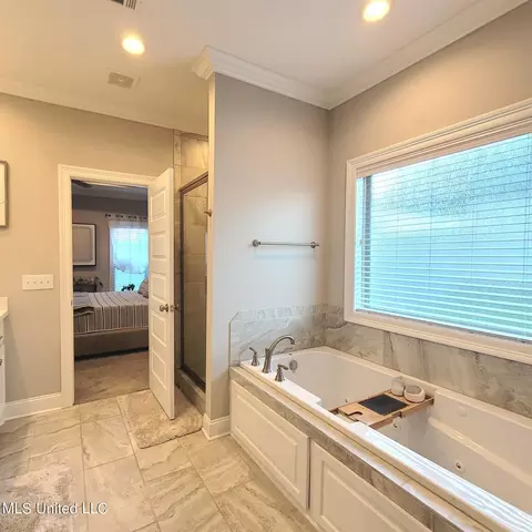 Bath - 157 Glenwild Trl, Canton, MS 39046 photo 6 of 6