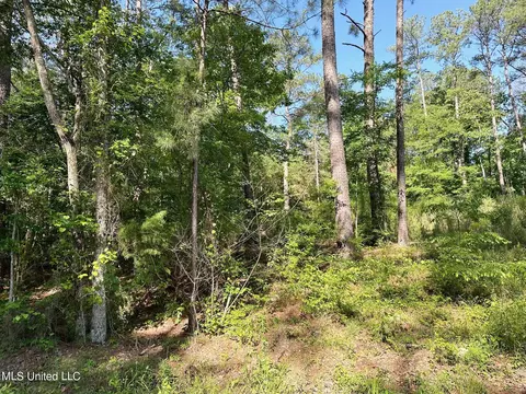 123 Stanton Hall Dr, Florence, MS 39073