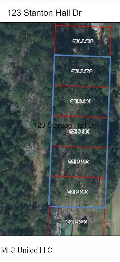123 Stanton Hall Dr, Florence, MS 39073 photo 5