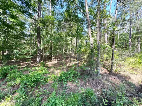 123 Stanton Hall Dr, Florence, MS 39073 photo 2