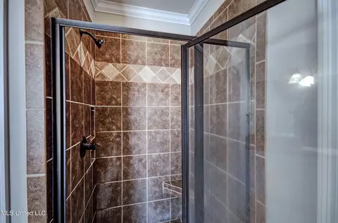 Bath - 149 Willow Crest Cir, Brandon, MS 39047 photo 3 of 6