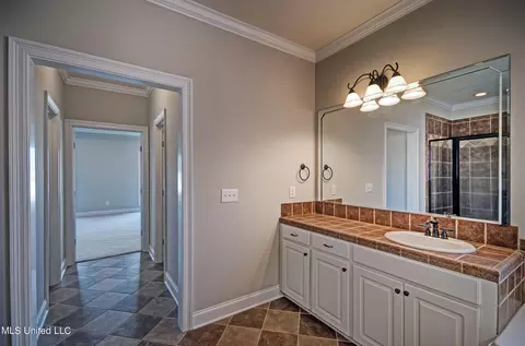 Bath - 149 Willow Crest Cir, Brandon, MS 39047 photo 4 of 6