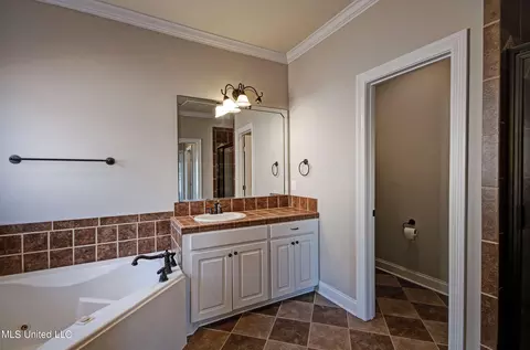 Bath - 149 Willow Crest Cir, Brandon, MS 39047 photo 2 of 6