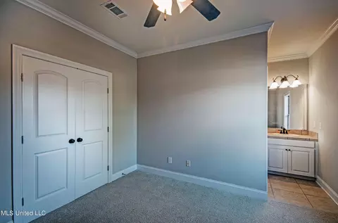 Other - 149 Willow Crest Cir, Brandon, MS 39047 photo 9 of 10