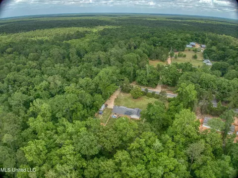 View/Area - 26133 Airey Tower Rd, Saucier, MS 39574 photo 3 of 4