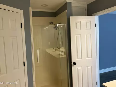Bath - 858 Riverchase Dr, Brandon, MS 39047 photo 3 of 7