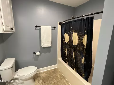 Bath - 858 Riverchase Dr, Brandon, MS 39047 photo 2 of 7