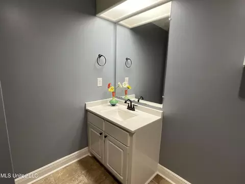 Bath - 858 Riverchase Dr, Brandon, MS 39047 photo 7 of 7