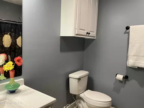 Bath - 858 Riverchase Dr, Brandon, MS 39047 photo 1 of 7