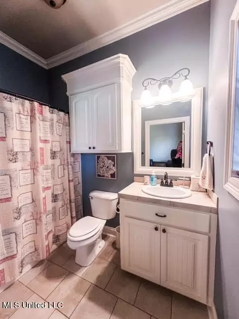Bath - 515 Springhill Xing, Brandon, MS 39047 photo 3 of 3