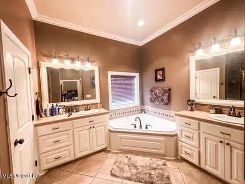 Bath - 515 Springhill Xing, Brandon, MS 39047 photo 1 of 3