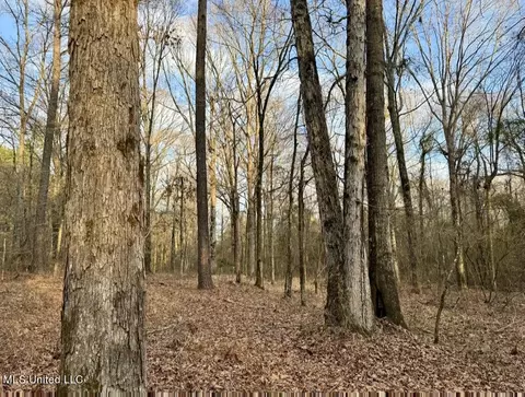 0001 Putnam Rd, Pickens, MS 39146 photo 27