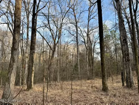 0001 Putnam Rd, Pickens, MS 39146 photo 22