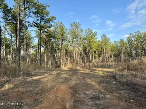 0001 Putnam Rd, Pickens, MS 39146 photo 23